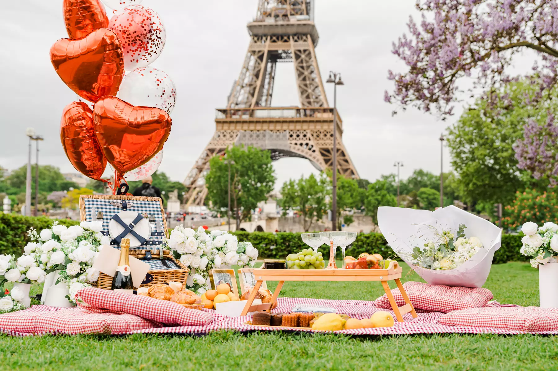 picnic proposal in paris