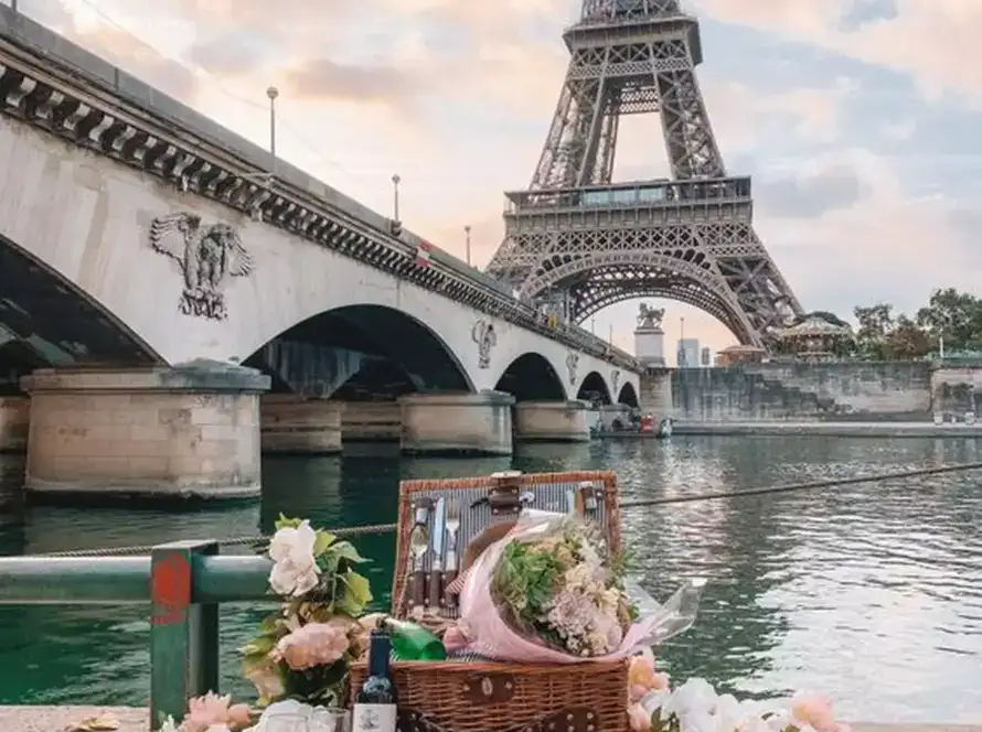 picnic proposal in paris